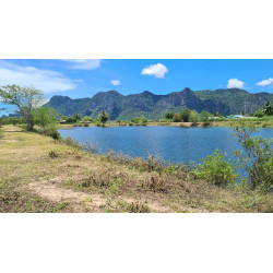 Terrain à vendre de 4800 m² avec étang à Sam roi yot en Thailande