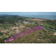 Land 9 rai 149 T.w. for sale in Prachuap Khiri Khan