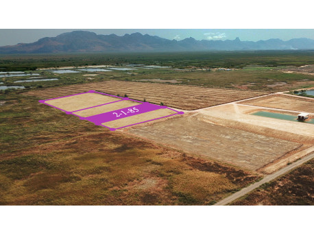 Terrain 2 rai 185 t.w. à vendre à Nong Khang – Sam roi yot