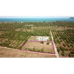 Terrain de 4800 m² à 800 m de la plage en Thaïlande