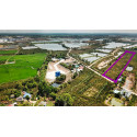 Land for sale 14 rai in Ayutthaya, Thailand