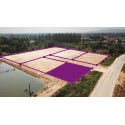 Plot 200 Tw in Pranburi Thailand