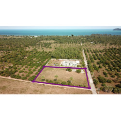 Land 3 rai 800 M from beach for sale in Pranburi