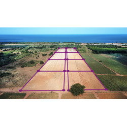 Land 30 rai 500 M from beach for sale in Tung Mamao