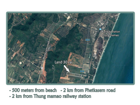 Land 30 rai 500 M from beach for sale in Tung Mamao