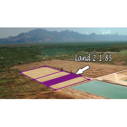 Terrain 2 rai 185 t.w. à vendre à Nong Khang – Sam roi yot