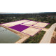 Terrain 200 T.W. à vendre à Pranburi