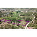 Terrain à vendre de 6244 m² avec étang à Pranburi Thaïlande