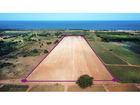 Terrain 30 Rai à vendre à 500 M de la mer à Tung Mamao