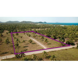 Terrain 6 Rai à vendre à Pranburi
