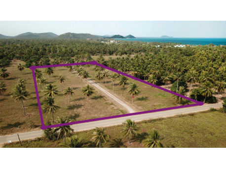 Land 6 rai for sale in Pranburi