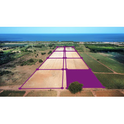 Plot 5 rai 500 M from beach for sale in Tung Mamao