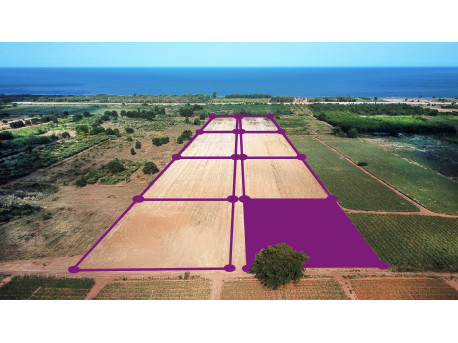 Plot 5 rai 500 M from beach for sale in Tung Mamao