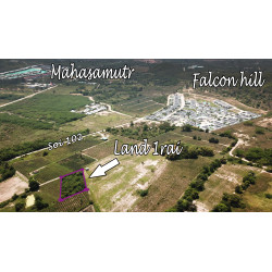 Land 1 rai soi 102