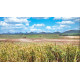 Land for sale 7 rai in Pranburi in Thailand