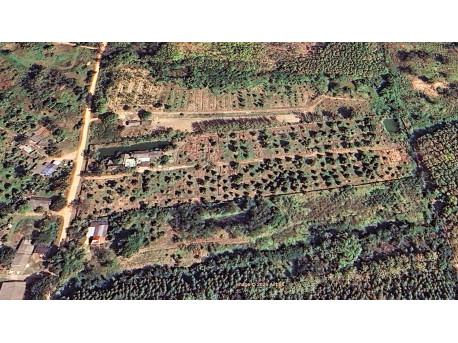 Durian farm Pa la-U 25000 m²