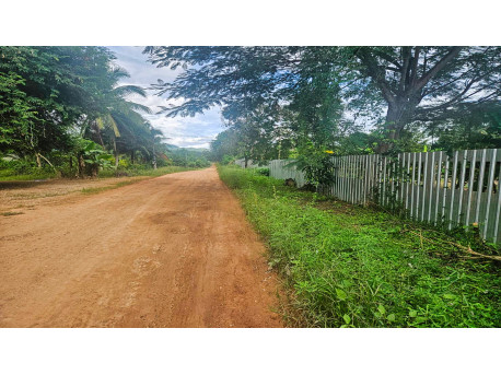 Durian farm Pa la-U 25000 m²