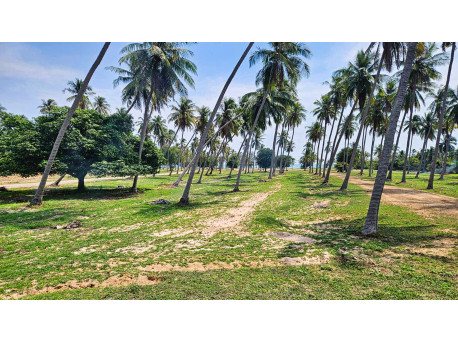 Terrain 520 m² bord de mer à vendre à Thap Sakae