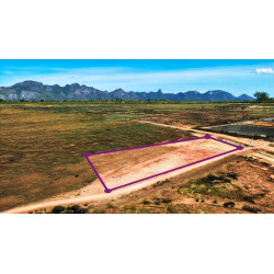 Land 8-3-33 in Nong Khang (Sam roi yot) Thailand